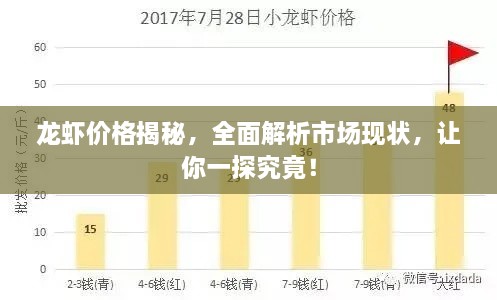 龍蝦價(jià)格揭秘，全面解析市場(chǎng)現(xiàn)狀，讓你一探究竟！