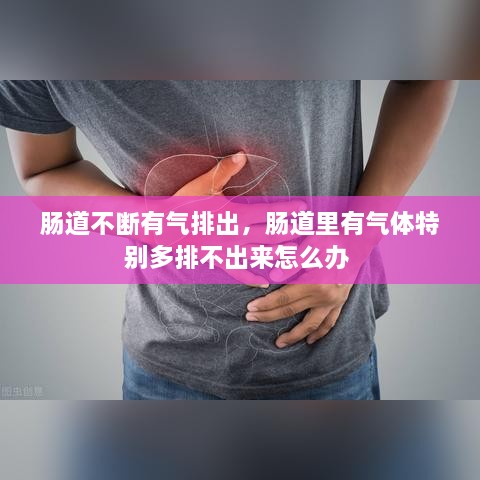 腸道不斷有氣排出，腸道里有氣體特別多排不出來怎么辦 