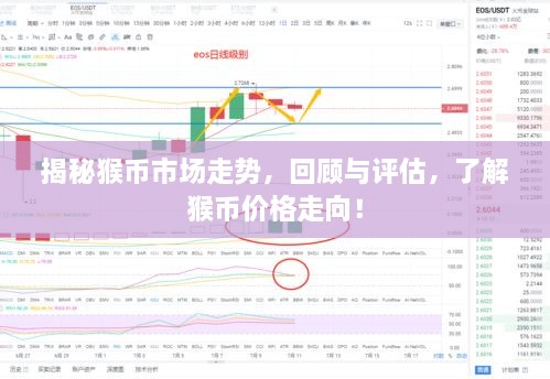 揭秘猴幣市場(chǎng)走勢(shì)，回顧與評(píng)估，了解猴幣價(jià)格走向！