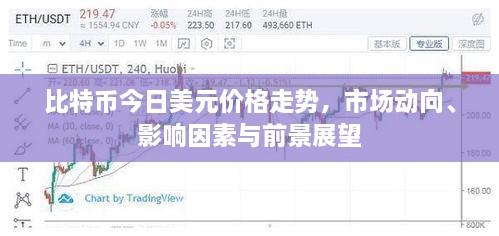 比特幣今日美元價(jià)格走勢(shì)，市場(chǎng)動(dòng)向、影響因素與前景展望