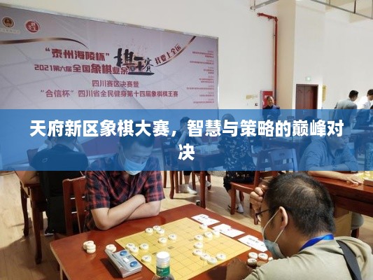 天府新區(qū)象棋大賽，智慧與策略的巔峰對決