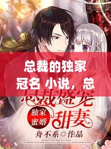 總裁的獨家冠名 小說，總裁的獨家盛寵全文免費閱讀 