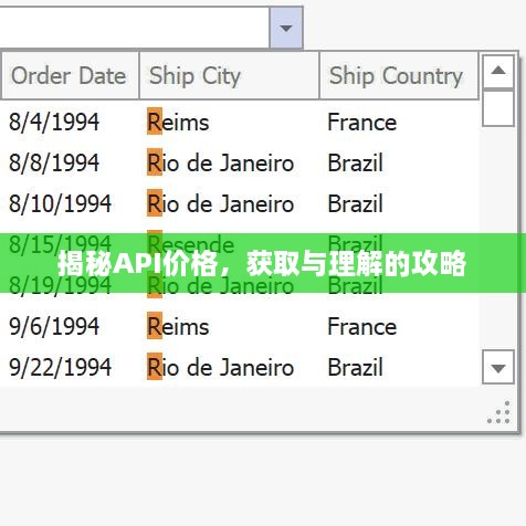揭秘API價格，獲取與理解的攻略
