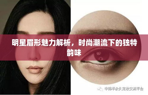 明星眉形魅力解析，時(shí)尚潮流下的獨(dú)特韻味