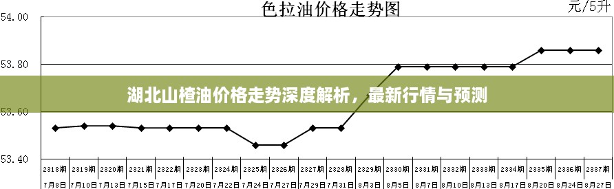 湖北山楂油價格走勢深度解析，最新行情與預測