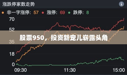 股票950，投資新寵兒嶄露頭角