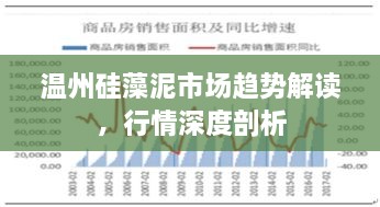 溫州硅藻泥市場趨勢解讀，行情深度剖析