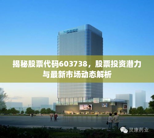 揭秘股票代碼603738，股票投資潛力與最新市場(chǎng)動(dòng)態(tài)解析