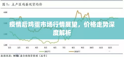 疫情后雞蛋市場行情展望，價(jià)格走勢深度解析