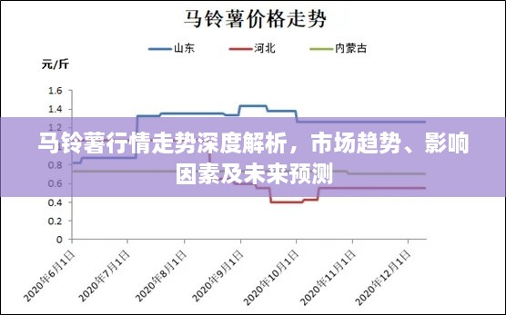 馬鈴薯行情走勢深度解析，市場趨勢、影響因素及未來預(yù)測