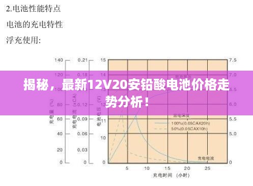 揭秘，最新12V20安鉛酸電池價(jià)格走勢(shì)分析！