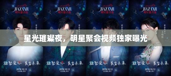 星光璀璨夜，明星聚會(huì)視頻獨(dú)家曝光