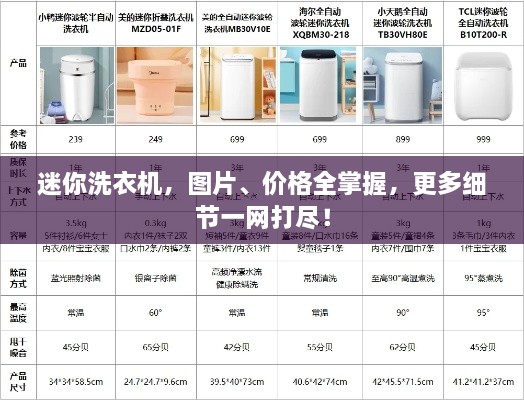 迷你洗衣機，圖片、價格全掌握，更多細節(jié)一網(wǎng)打盡！