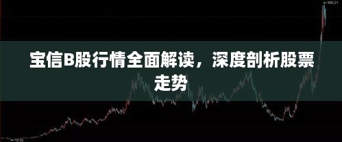 寶信B股行情全面解讀，深度剖析股票走勢(shì)