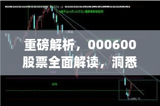 重磅解析，000600股票全面解讀，洞悉投資趨勢(shì)！