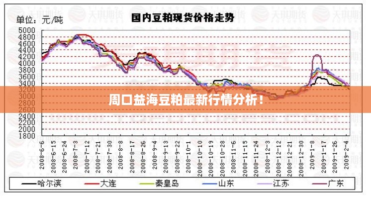 周口益海豆粕最新行情分析！