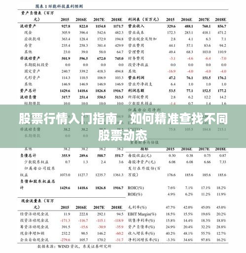 股票行情入門指南，如何精準(zhǔn)查找不同股票動態(tài)