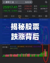 揭秘股票跌漲背后的風(fēng)險與策略，如何巧妙應(yīng)對股市波動？