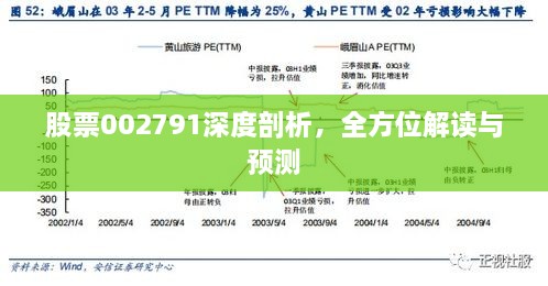 股票002791深度剖析，全方位解讀與預(yù)測