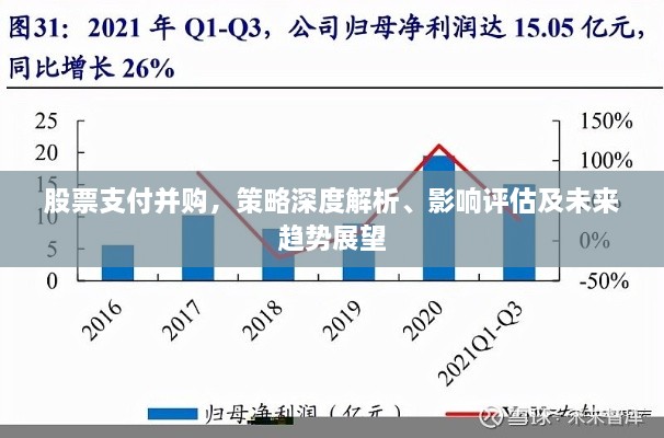 股票支付并購，策略深度解析、影響評估及未來趨勢展望