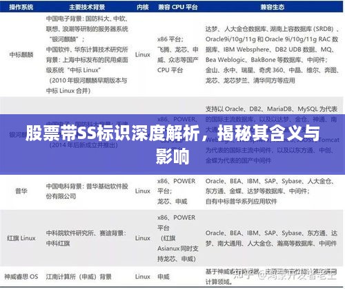 股票帶SS標識深度解析，揭秘其含義與影響