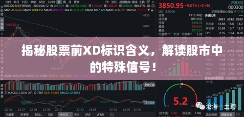 揭秘股票前XD標(biāo)識含義，解讀股市中的特殊信號！