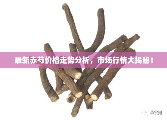 最新赤芍價(jià)格走勢(shì)分析，市場(chǎng)行情大揭秘！