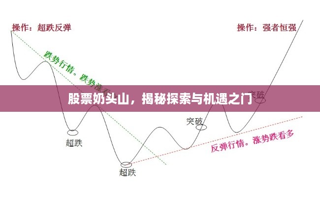 股票奶頭山，揭秘探索與機(jī)遇之門