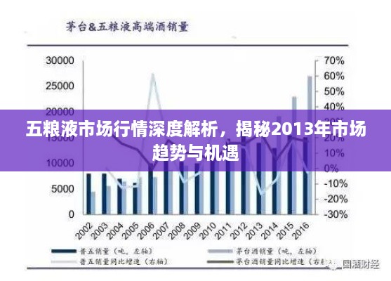 五糧液市場行情深度解析，揭秘2013年市場趨勢與機(jī)遇