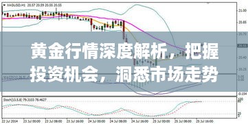 黃金行情深度解析，把握投資機會，洞悉市場走勢