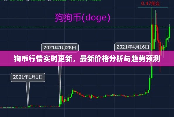 狗幣行情實(shí)時(shí)更新，最新價(jià)格分析與趨勢預(yù)測