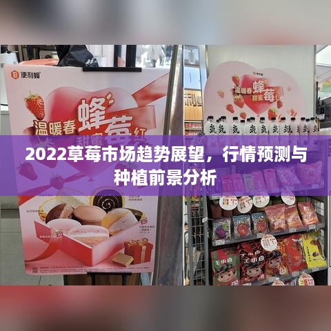 2022草莓市場趨勢展望，行情預(yù)測與種植前景分析