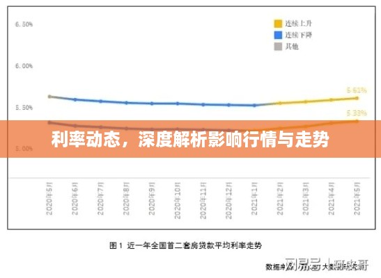 利率動態(tài)，深度解析影響行情與走勢