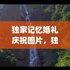 獨家記憶婚禮慶祝圖片，獨家記憶圖片唯美 