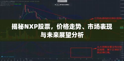 揭秘NXP股票，價格走勢、市場表現(xiàn)與未來展望分析