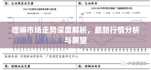 喹啉市場走勢深度解析，最新行情分析與展望