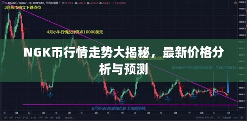 NGK幣行情走勢大揭秘，最新價格分析與預(yù)測