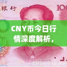 CNY幣今日行情深度解析，最新價(jià)格動(dòng)態(tài)一網(wǎng)打盡！