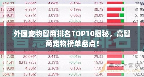 外國寵物智商排名TOP10揭秘，高智商寵物榜單盤點(diǎn)！