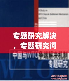 專題研究解決，專題研究問(wèn)題 