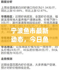 寧波魚市最新動態(tài)，今日魚價、市場走勢及影響因素全解析