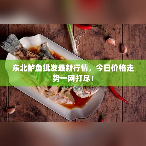 東北鱸魚批發(fā)最新行情，今日價格走勢一網(wǎng)打盡！