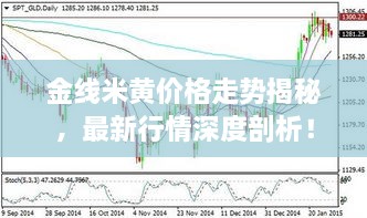 金線米黃價(jià)格走勢(shì)揭秘，最新行情深度剖析！