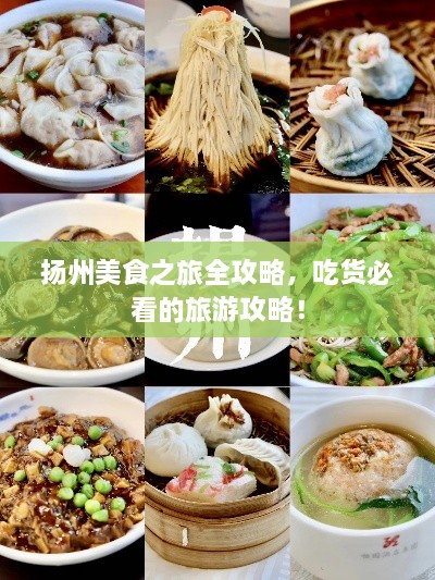 揚(yáng)州美食之旅全攻略，吃貨必看的旅游攻略！