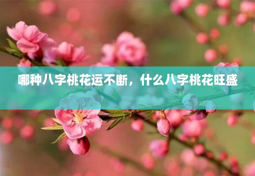 哪種八字桃花運(yùn)不斷，什么八字桃花旺盛 