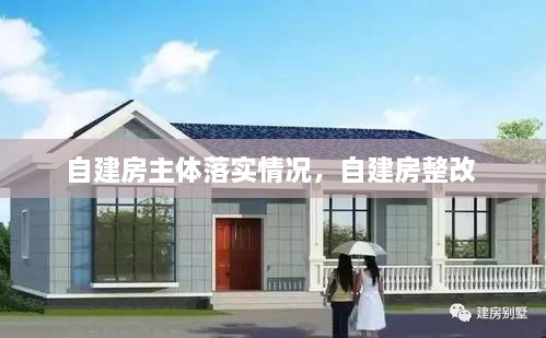 自建房主體落實情況，自建房整改 