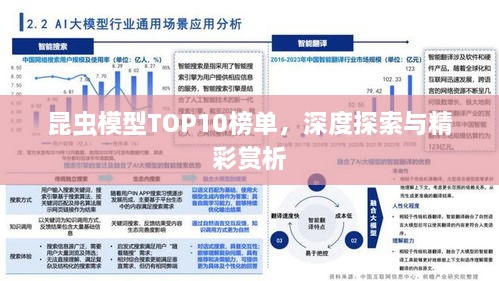 昆蟲模型TOP10榜單，深度探索與精彩賞析