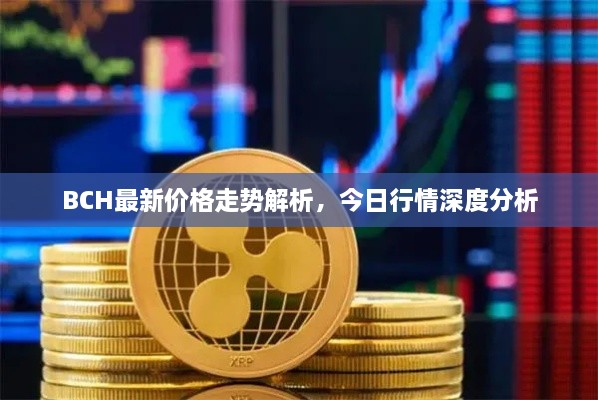 BCH最新價格走勢解析，今日行情深度分析