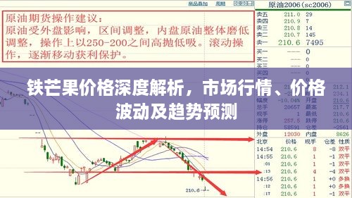 鐵芒果價(jià)格深度解析，市場行情、價(jià)格波動(dòng)及趨勢預(yù)測