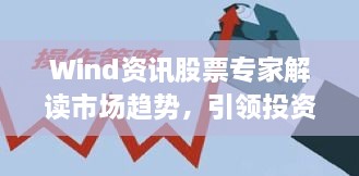 Wind資訊股票專家解讀市場趨勢，引領(lǐng)投資風(fēng)向標(biāo)